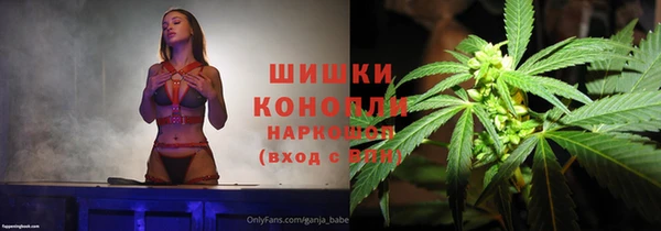 молекула духа Балахна