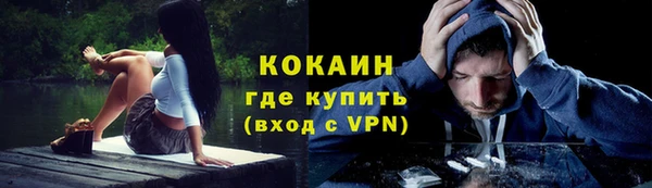 молекула духа Балахна
