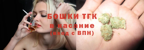 молекула духа Балахна