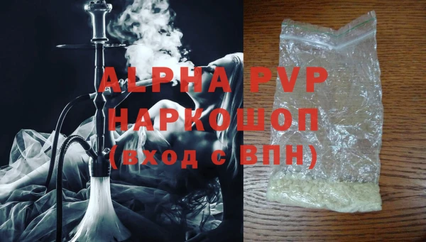 ГАЛЛЮЦИНОГЕННЫЕ ГРИБЫ Осинники