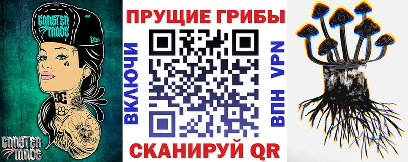 Псилоцибиновые грибы Cubensis Волчанск
